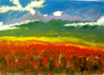 Sulle orme della sera 2015